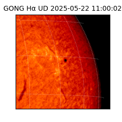 gong - 2025-05-22T11:00:02