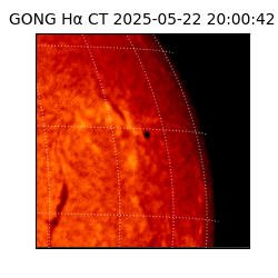 gong - 2025-05-22T20:00:42