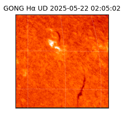gong - 2025-05-22T02:05:02