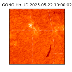 gong - 2025-05-22T10:00:02