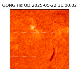 gong - 2025-05-22T11:00:02