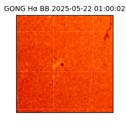 gong - 2025-05-22T01:00:02