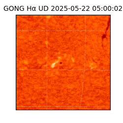 gong - 2025-05-22T05:00:02