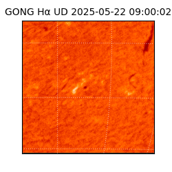 gong - 2025-05-22T09:00:02