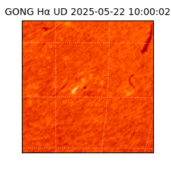 gong - 2025-05-22T10:00:02
