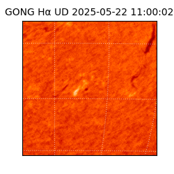 gong - 2025-05-22T11:00:02
