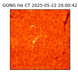 gong - 2025-05-22T20:00:42
