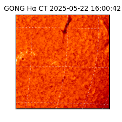 gong - 2025-05-22T16:00:42