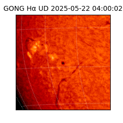 gong - 2025-05-22T04:00:02