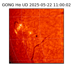 gong - 2025-05-22T11:00:02