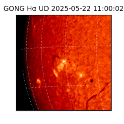 gong - 2025-05-22T11:00:02