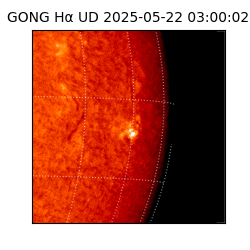 gong - 2025-05-22T03:00:02