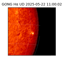 gong - 2025-05-22T11:00:02