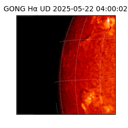 gong - 2025-05-22T04:00:02