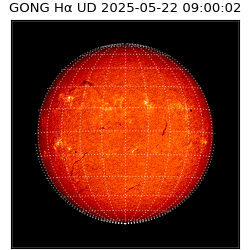 gong - 2025-05-22T09:00:02