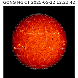 gong - 2025-05-22T12:23:42