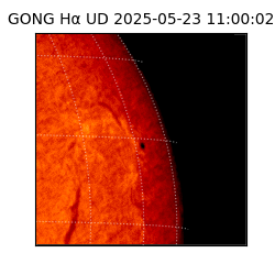 gong - 2025-05-23T11:00:02
