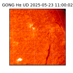 gong - 2025-05-23T11:00:02
