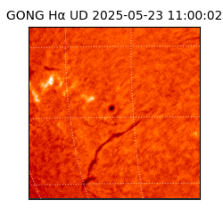 gong - 2025-05-23T11:00:02