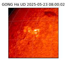 gong - 2025-05-23T08:00:02