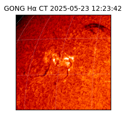 gong - 2025-05-23T12:23:42