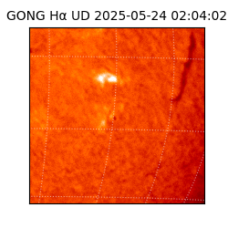 gong - 2025-05-24T02:04:02