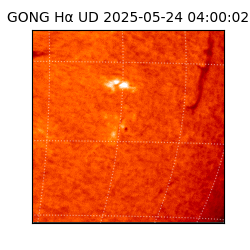 gong - 2025-05-24T04:00:02