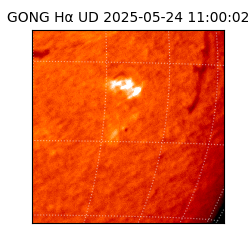 gong - 2025-05-24T11:00:02