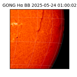gong - 2025-05-24T01:00:02