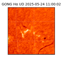 gong - 2025-05-24T11:00:02