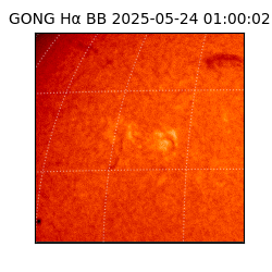 gong - 2025-05-24T01:00:02