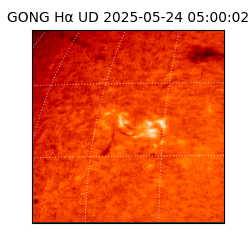gong - 2025-05-24T05:00:02
