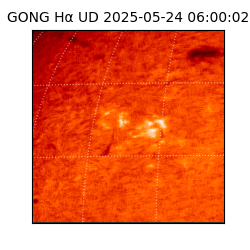 gong - 2025-05-24T06:00:02