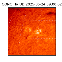 gong - 2025-05-24T09:00:02