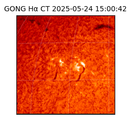 gong - 2025-05-24T15:00:42