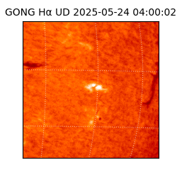 gong - 2025-05-24T04:00:02