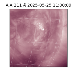 saia - 2025-05-25T11:00:09.632000