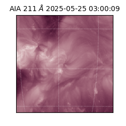 saia - 2025-05-25T03:00:09.632000