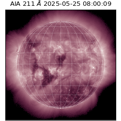 saia - 2025-05-25T08:00:09.630000