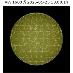 saia - 2025-05-25T10:00:14.126000