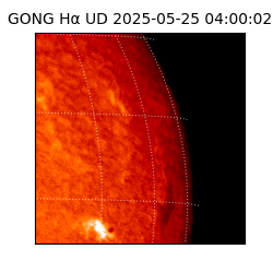 gong - 2025-05-25T04:00:02