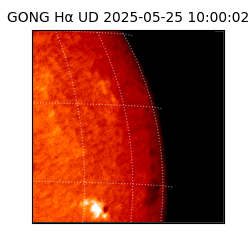 gong - 2025-05-25T10:00:02