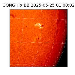 gong - 2025-05-25T01:00:02