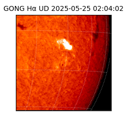 gong - 2025-05-25T02:04:02