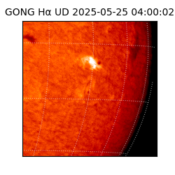 gong - 2025-05-25T04:00:02