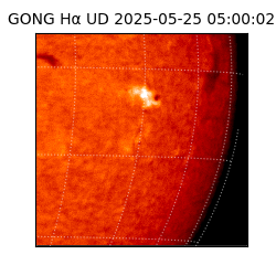 gong - 2025-05-25T05:00:02