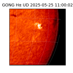 gong - 2025-05-25T11:00:02