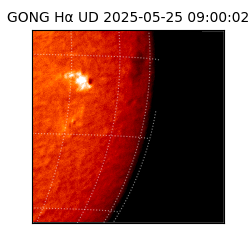 gong - 2025-05-25T09:00:02