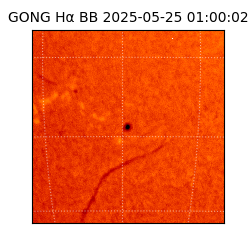 gong - 2025-05-25T01:00:02