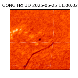 gong - 2025-05-25T11:00:02